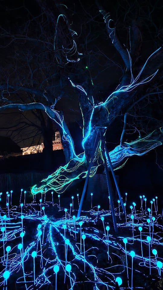 📅 J-4 avant le retour de Mons en Lumières !

C'est déjà la 3e édition de ce beau festival. J'ai assisté aux 2 premières et j'avais adoré. 😍

ℹ️ Infos pratiques :
Du 22 au 25 janvier - de 18h à minuit
3km de parcours - départ place Léopold
17 installations - points info sur le parcours 
Gratuit 
Parkings PMR dispos

💡 Si vous le pouvez, n'hésitez pas à rester dormir sur place et baladez vous à Mons le lendemain il y a plein de choses à decouvrir (cf. mon post sur les immanquables)