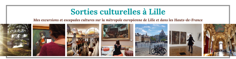 Sorties culturelles à Lille