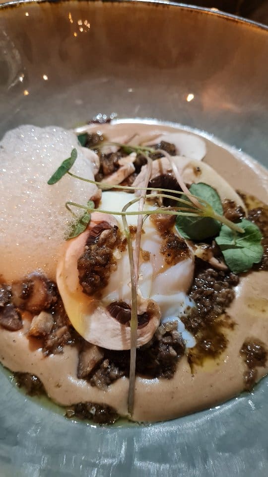 🍽️ Je te partage ma dernière découverte gourmande à deux pas de Lille : @bistrot_two_d !

Une adresse bistronomique accessible et 100 % maison, avec une ambiance feutrée que j’ai beaucoup aimée ✨

J’adore le concept des deux cartes : une plus “bistrot”, l’autre plus “bistronomique” — parfait pour varier les plaisirs 😋

🎁 Bonus : un verre offert (bière 25 cl, vin ou soft) si tu viens de ma part et montres cette vidéo avant le 24 novembre ! 🍷

--------
Invitation
--------

#bonnesadresses #lillefood #lillemaville #cuisinebistronomique #restaurant #lille #marquettelezlille #bistronomie #faitmaison #gastronomie #sortiralille #lilletourisme