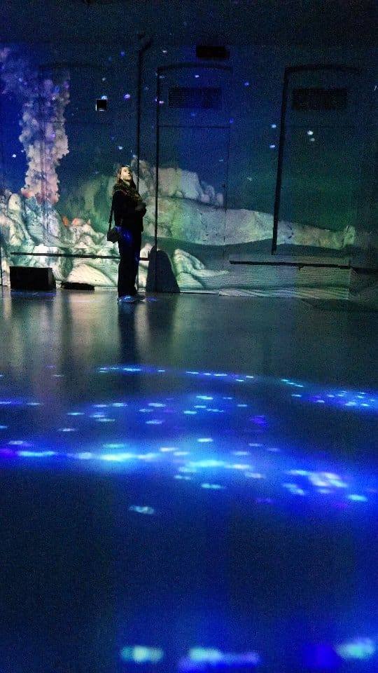 ✨ Nouvelle expérience immersive à Lille !

La première salle de vidéo mapping immersif de la région vous attend à @lhybridelille
170 m² |18 vidéoprojecteurs pour une immersion totale… 2 types de séances : 

🌊 ABYSSES – Échos des océans

👤 Dès 8 ans
⏱ Durée : 40 min environ
💶 Tarif plein : 11 à 14 €
💶 Tarif réduit : 9 à 12 € (-18 ans, étudiants, seniors, abonnés C’ART…)

Une plongée spectaculaire dans les mystères des fonds marins.

🦊 LES NOUVELLES FABLES DE LA FONTAINE – Spécial Kids
👶 Dès 4 ans
⏱ Durée : 25 min environ
💶 Tarif unique : 7 €
🎟 Gratuit pour les moins de 3 ans

Une revisite douce et malicieuse des célèbres fables, pensée pour les plus jeunes.

 Infos pratiques :

🗓 Séances les mercredis, samedis et dimanches
🚪 Ouverture des portes : 30 min avant la séance
⚠️ La séance commence à l’heure indiquée sur votre billet (pas de rediffusion en cas de retard)
🍹 Bar et petite restauration sur place pour les séances de 20h30
🎟 La billetterie en ligne ouvre environ 3 semaines avant les dates

👉 Pensez à réserver à l’avance.
💬 Commentez “billetterie” pour recevoir le lien.
📍 Toutes les infos pratiques sont à retrouver ci-dessus.

*Invitation