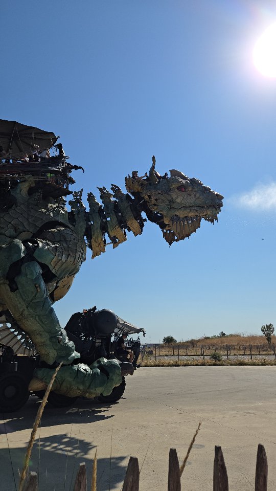 🤯 Expérience insolite ! 

🐉 J'ai enfin testé le dragon de la  @compagniedragon à Calais. On embarque pour une balade commentée de 45min environ. Le dragon déploie ses immenses ailes, crache de l'eau sur les passants...

C'est super de voir cette immense machine se mouvoir et d'être aux premières loges. 

👉 Vous pouvez aussi opter pour une balade à bord du varan, c’est assis car il va bien plus vite. Il ne fait d'ailleurs pas le même parcours.

On a eu la chance de voir les 2 se croiser c'était top !

💬 Qui par ici a testé cette expérience ou une autre visite insolite ? 

ℹ️ Bon plan : tu peux payer en chèques vacances connect.

💡 D'ailleurs je vous conseille de réserver un peu à l'avance et regarder quelle partie de la balade vous souhaitez faire. Nous sommes restés proche de la base. À l'occasion je ferais bien la partie plus loin sur la jetée.